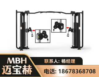 衢州大飞鸟训练器